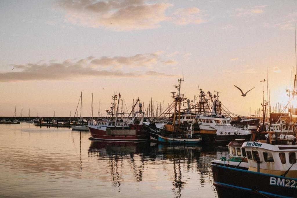Limpet Cottage Brixham Ngoại thất bức ảnh